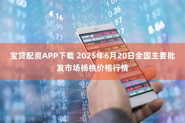 宝贷配资APP下载 2025年6月20日全国主要批发市场杨桃价格行情